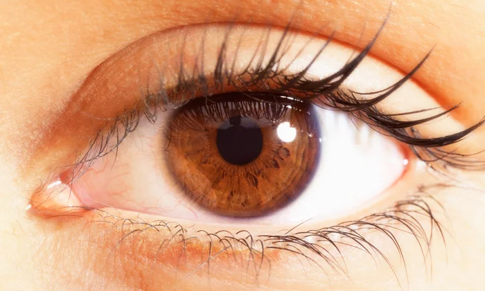 7 Golden Rules for Healthy Eyes & Sight