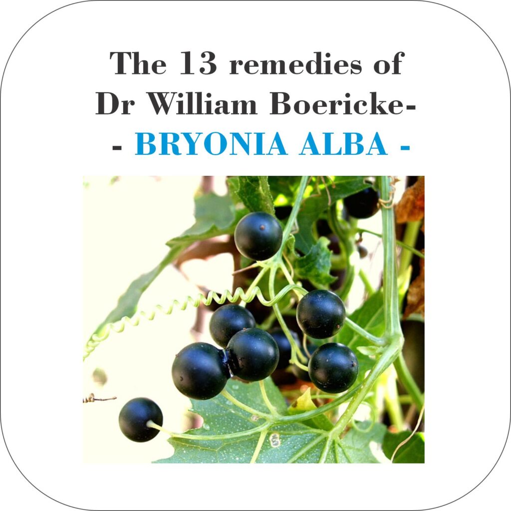 The 13 remedies of Dr William Boericke- - BRYONIA ALBA -