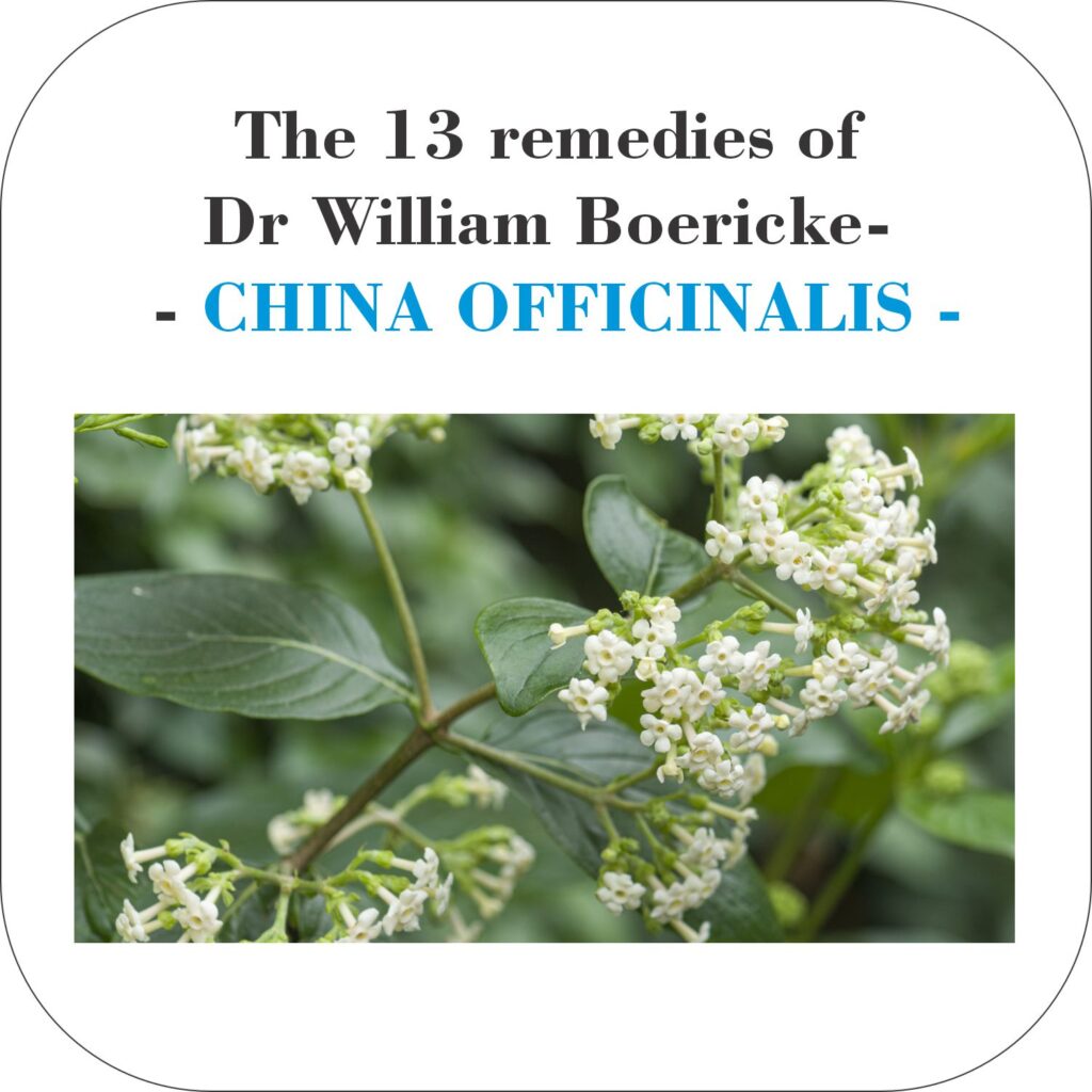 CHINA OFFICINALIS