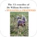 The 13 remedies of Dr William Boericke-08 PULSATILLA PRATENSIS