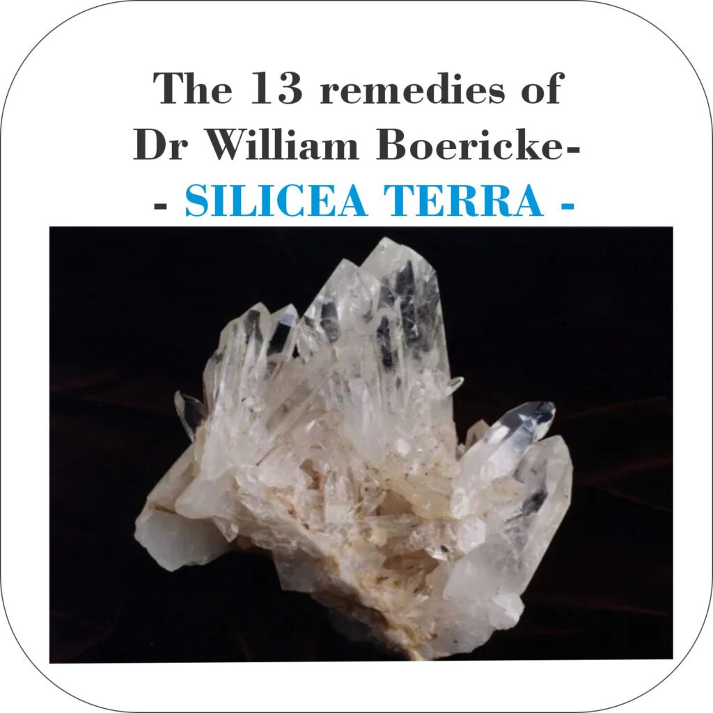 The 13 remedies of Dr William Boericke-09 SILICEA TERRA