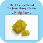 The 13 remedies of Dr John Henry Clarke - Sulphur -