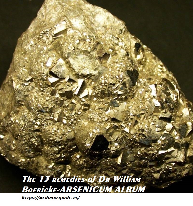 The 13 remedies of Dr William Boericke-04 ARSENICUM ALBUM